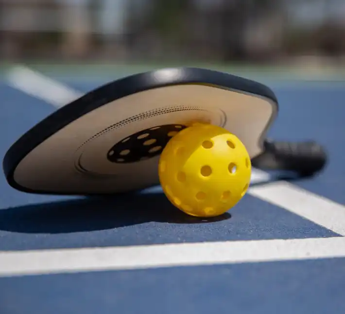 A yellow ball and racket on the court